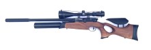 BSA_R10_TH