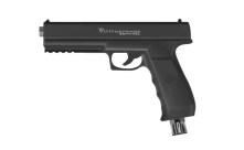 Vesta_Sentinel